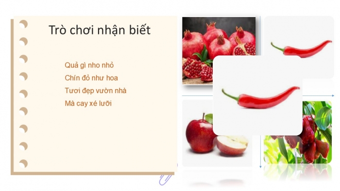 Giáo án PPT Mĩ thuật 2 cánh diều Bài 8: Hoa, quả mùa xuân