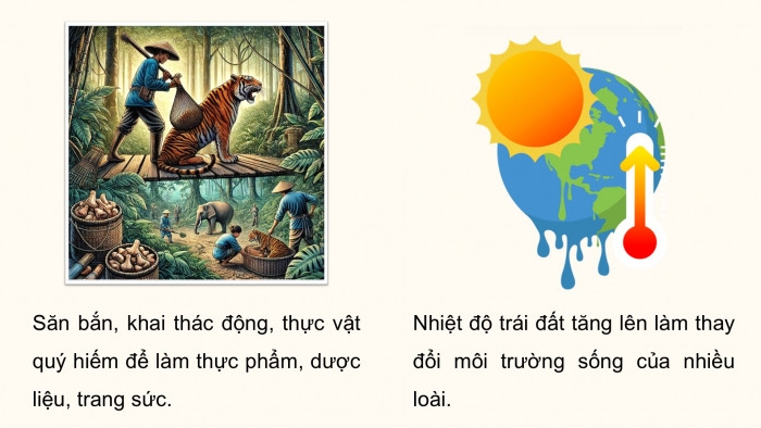 Giáo án điện tử Hoạt động trải nghiệm 12 cánh diều Chủ đề 6: Bảo vệ cảnh quan thiên nhiên và sự đa dạng sinh học (P1)