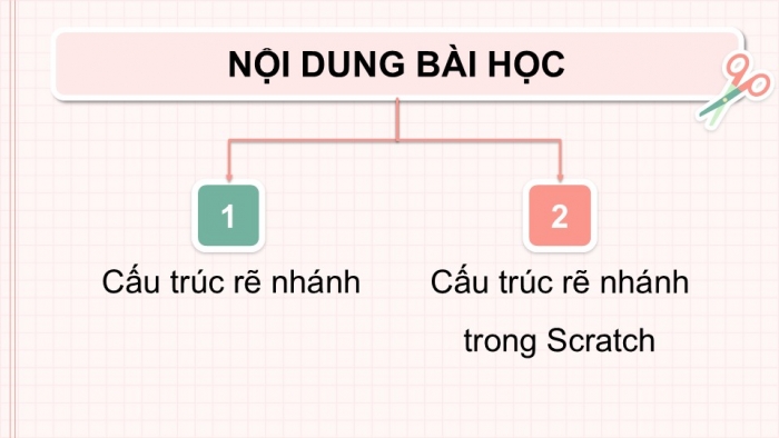 Giáo án điện tử Tin học 5 chân trời Bài 10: Cấu trúc rẽ nhánh