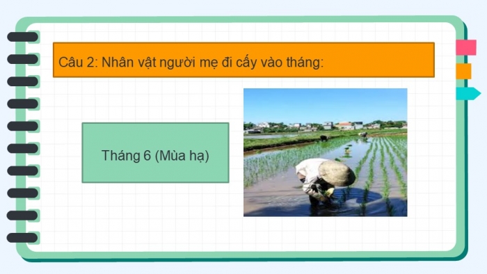 Giáo án điện tử Mĩ thuật 5 chân trời bản 1 Bài 1: Mùa thu hoạch