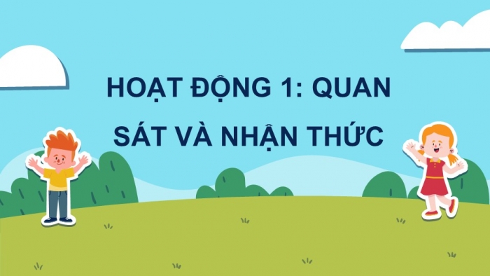 Giáo án điện tử Mĩ thuật 5 chân trời bản 2 Bài 12: Em yêu cây xanh