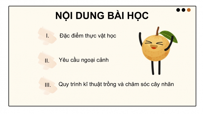 Giáo án điện tử Công nghệ 9 Trồng cây ăn quả Cánh diều Bài 7: Kĩ thuật trồng và chăm sóc cây nhãn