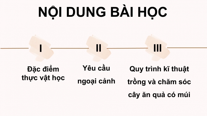 Giáo án điện tử Công nghệ 9 Trồng cây ăn quả Cánh diều Bài 8: Kĩ thuật trồng và chăm sóc cây ăn quả có múi