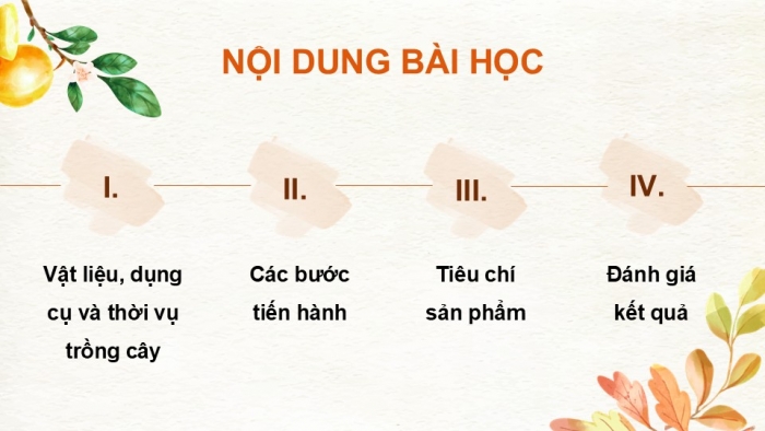 Giáo án điện tử Công nghệ 9 Trồng cây ăn quả Cánh diều Bài 10: Thực hành trồng và chăm sóc cây ăn quả