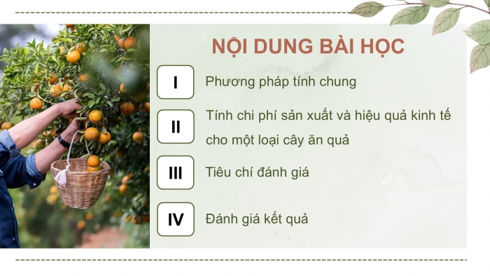 Giáo án điện tử Công nghệ 9 Trồng cây ăn quả Cánh diều Bài 11: Tính chi phí và hiệu quả của việc trồng cây ăn quả