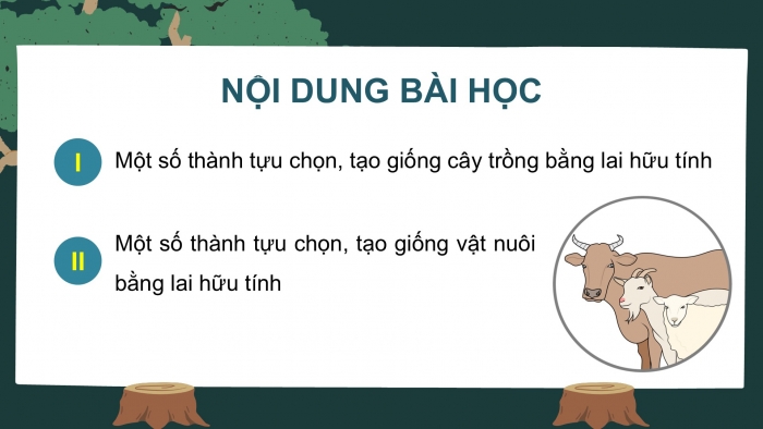 Giáo án điện tử Sinh học 12 cánh diều Bài 12: Thành tựu chọn, tạo giống bằng lai hữu tính