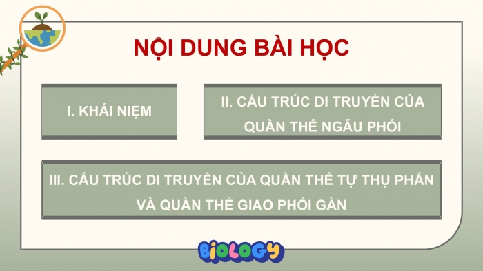 Giáo án điện tử Sinh học 12 cánh diều Bài 13: Di truyền học quần thể