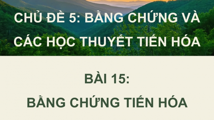 Giáo án điện tử Sinh học 12 cánh diều Bài 15: Bằng chứng tiến hóa