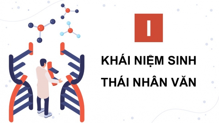 Giáo án điện tử chuyên đề Sinh học 12 kết nối Bài 8: Khái niệm và giá trị của sinh thái nhân văn trong phát triển bền vững