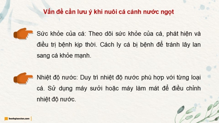 Giáo án điện tử chuyên đề Công nghệ 12 Lâm nghiệp Thuỷ sản Kết nối Bài 11: Nuôi dưỡng và chăm sóc cá cảnh nước ngọt