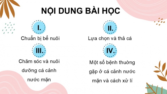 Giáo án điện tử chuyên đề Công nghệ 12 Lâm nghiệp Thuỷ sản Kết nối Bài 12: Nuôi dưỡng và chăm sóc cá cảnh nước mặn