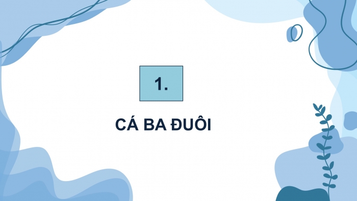 Giáo án điện tử chuyên đề Công nghệ 12 Lâm nghiệp Thuỷ sản Cánh diều Bài 9: Một số loài cá cảnh phổ biến