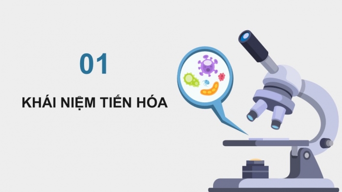 Giáo án điện tử KHTN 9 kết nối - Phân môn Sinh học Bài 49: Khái niệm tiến hóa và các hình thức chọn lọc