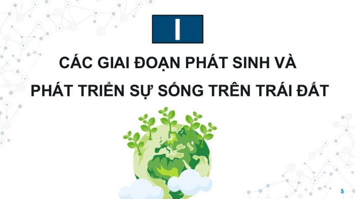 Giáo án điện tử KHTN 9 kết nối - Phân môn Sinh học Bài 51: Sự phát sinh và phát triển sự sống trên Trái Đất