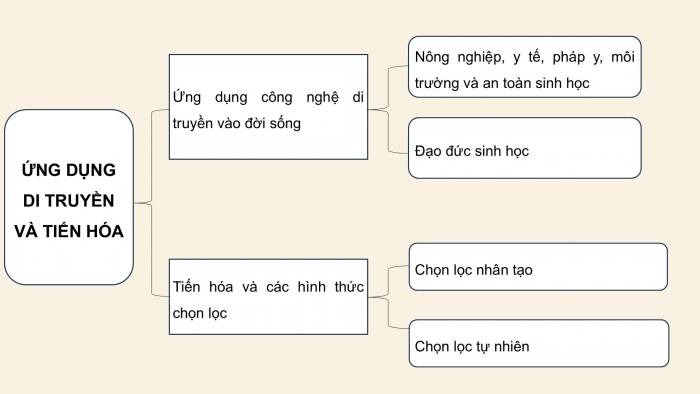 Giáo án điện tử KHTN 9 kết nối - Phân môn Sinh học Bài Ôn tập học kì 2