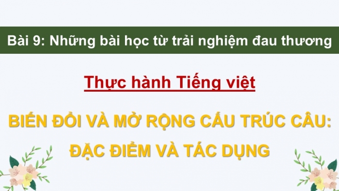 Giáo án điện tử Ngữ văn 9 chân trời Bài 9: Thực hành tiếng Việt