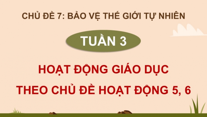 Giáo án điện tử Hoạt động trải nghiệm 12 kết nối Chủ đề 7 Tuần 3