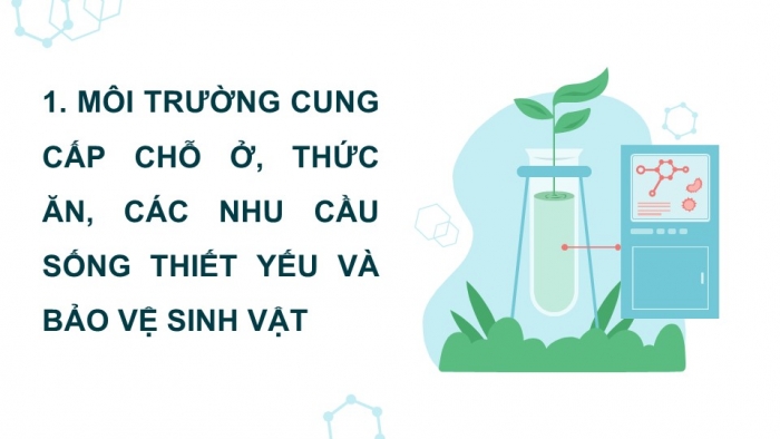 Giáo án điện tử Khoa học 5 kết nối Bài 28: Chức năng của môi trường đối với sinh vật