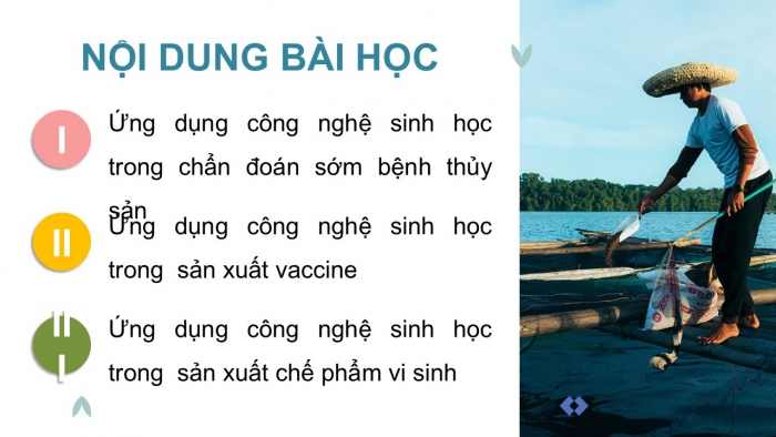 Giáo án điện tử Công nghệ 12 Lâm nghiệp - Thủy sản Kết nối Bài 25: Ứng dụng công nghệ sinh học trong phòng, trị bệnh thủy sản