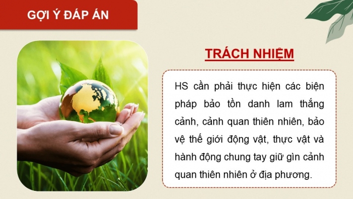 Giáo án điện tử Hoạt động trải nghiệm 12 chân trời bản 1 Chủ đề 9: Bảo vệ cảnh quan thiên nhiên, thế giới động vật và thực vật (P1)