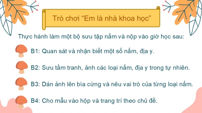 Giáo án PPT KHTN 6 chân trời Bài 28: Nấm