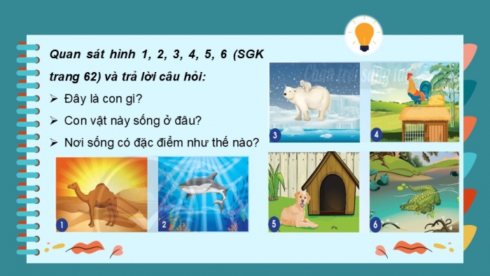 Giáo án PPT Tự nhiên và Xã hội 2 chân trời Bài 15: Động vật sống ở đâu?