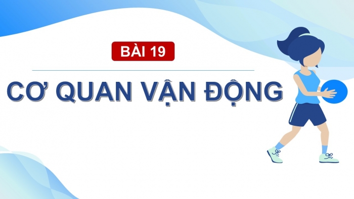 Giáo án PPT Tự nhiên và Xã hội 2 chân trời Bài 19: Cơ quan vận động