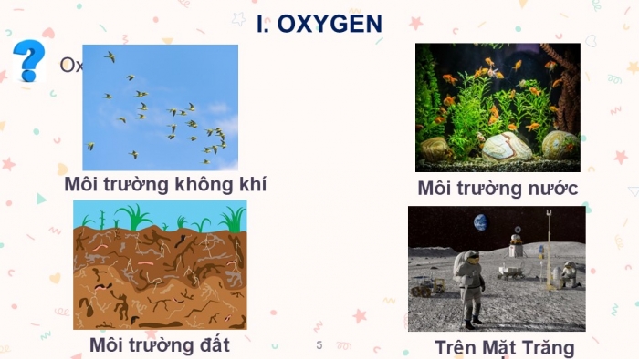 Giáo án PPT KHTN 6 cánh diều Bài 7: Oxygen và không khí