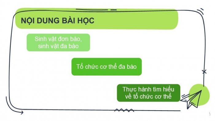 Giáo án PPT KHTN 6 cánh diều Bài 13: Từ tế bào đến cơ thể