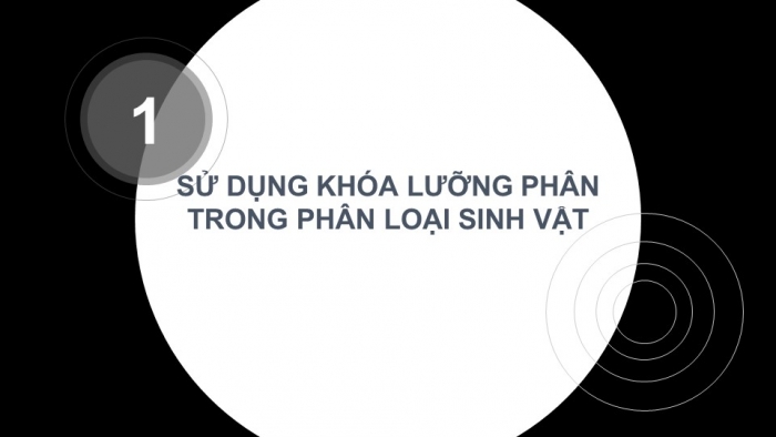 Giáo án PPT KHTN 6 cánh diều Bài 15: Khoá lưỡng phân