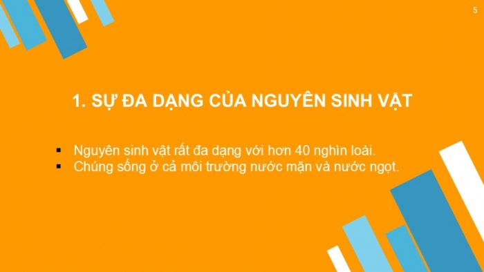 Giáo án PPT KHTN 6 cánh diều Bài 17: Đa dạng nguyên sinh vật