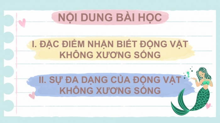 Giáo án PPT KHTN 6 cánh diều Bài 22: Đa dạng động vật không xương sống