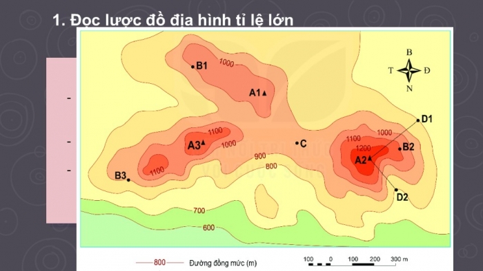 Giáo án PPT Địa lí 6 kết nối Bài 14 Thực hành: Đọc lược đồ địa hình tỉ lệ lớn và lát cắt địa hình đơn giản