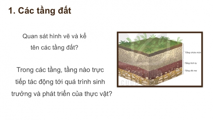 Giáo án PPT Địa lí 6 kết nối Bài 22: Lớp đất trên Trái Đất