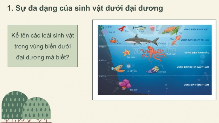 Giáo án PPT Địa lí 6 kết nối Bài 23: Sự sống trên Trái Đất