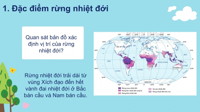 Giáo án PPT Địa lí 6 kết nối Bài 24: Rừng nhiệt đới