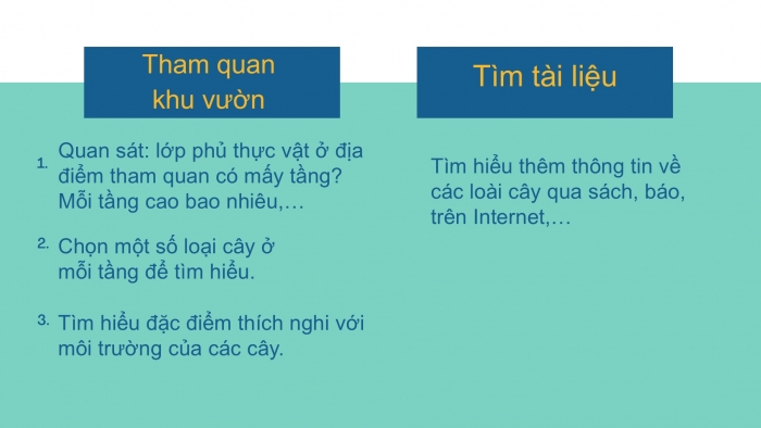 Giáo án PPT Địa lí 6 cánh diều Bài 23 Thực hành: Tìm hiểu lớp phủ thực vật ở địa phương