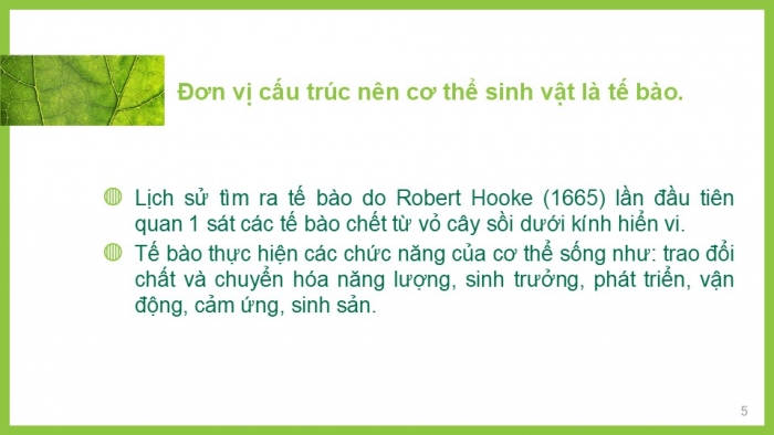 Giáo án PPT KHTN 6 chân trời Bài 17: Tế bào