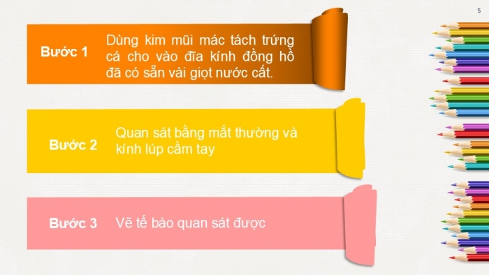 Giáo án PPT KHTN 6 chân trời Bài 18: Thực hành quan sát tế bào thực vật