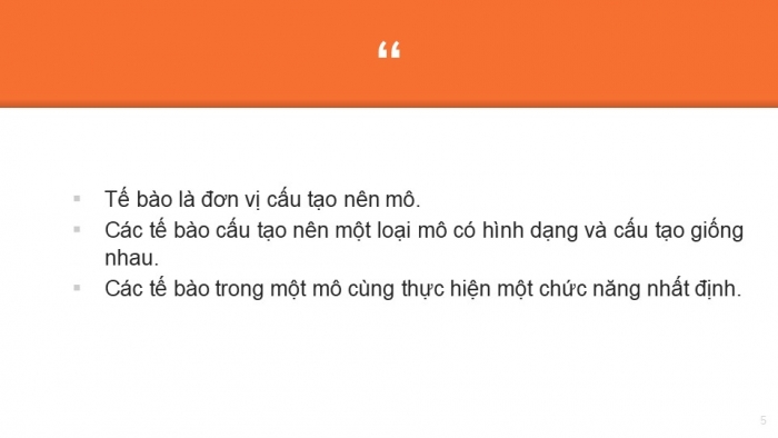 Giáo án PPT KHTN 6 chân trời Bài 20: Các cấp độ tổ chức trong cơ thể đa bào