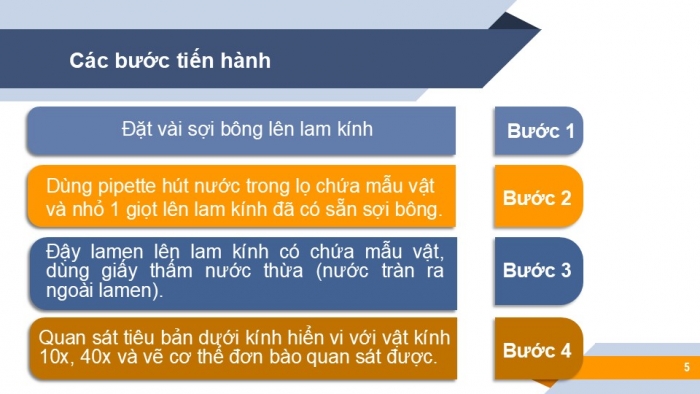 Giáo án PPT KHTN 6 chân trời Bài 21: Thực hành quan sát sinh vật