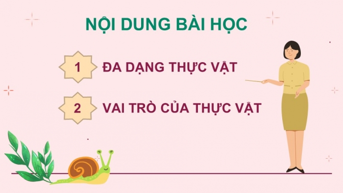 Giáo án PPT KHTN 6 chân trời Bài 29: Thực vật