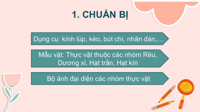 Giáo án PPT KHTN 6 chân trời Bài 30: Thực hành phân loại thực vật