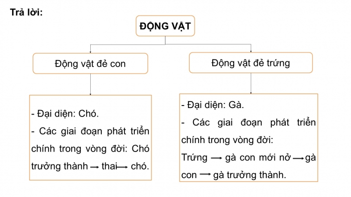 Giáo án điện tử Khoa học 5 cánh diều Bài Ôn tập chủ đề Thực vật và động vật