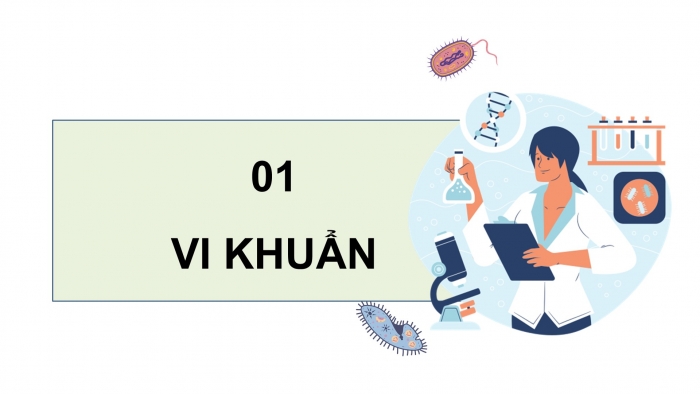 Giáo án điện tử Khoa học 5 cánh diều Bài 12: Vi khuẩn và vi khuẩn gây bệnh ở người