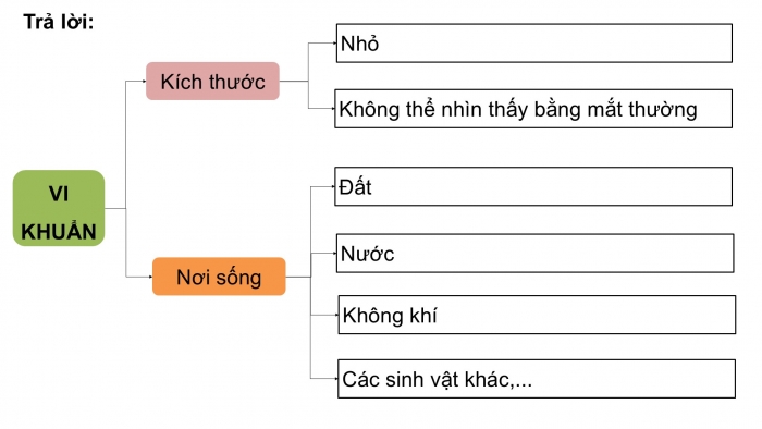 Giáo án điện tử Khoa học 5 cánh diều Bài Ôn tập chủ đề Vi khuẩn