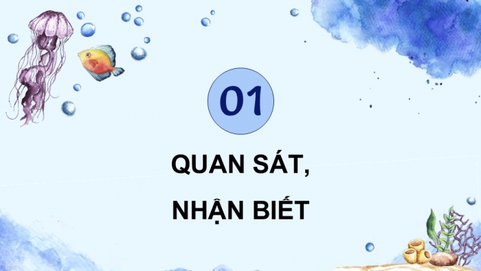 Giáo án điện tử Mĩ thuật 5 cánh diều Bài 9: Sinh vật biển