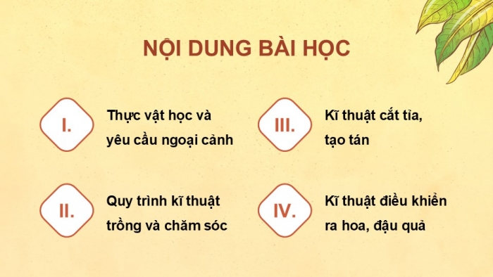 Giáo án điện tử Công nghệ 9 Trồng cây ăn quả Kết nối Bài 5: Kĩ thuật trồng và chăm sóc cây xoài