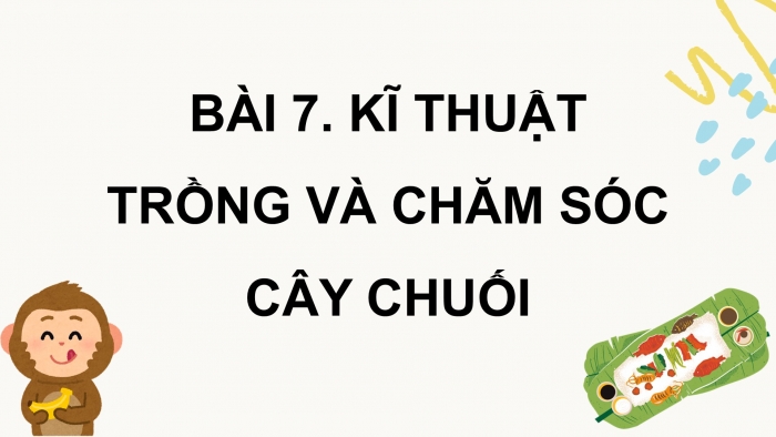 Giáo án điện tử Công nghệ 9 Trồng cây ăn quả Kết nối Bài 7: Kĩ thuật trồng và chăm sóc cây chuối