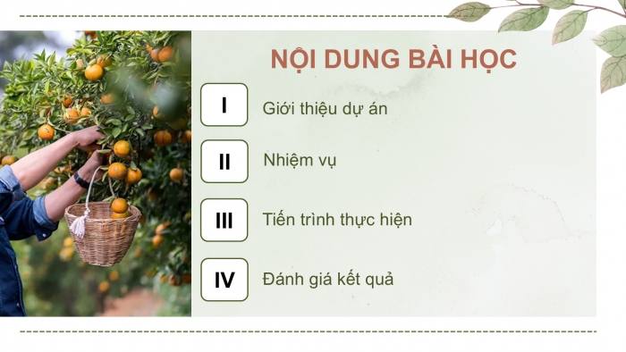 Giáo án điện tử Công nghệ 9 Trồng cây ăn quả Kết nối Bài 8: Dự án Trồng cây ăn quả